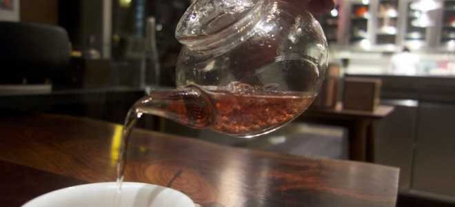 Гречишный чай Ку Цяо: польза и правила заваривания напитка