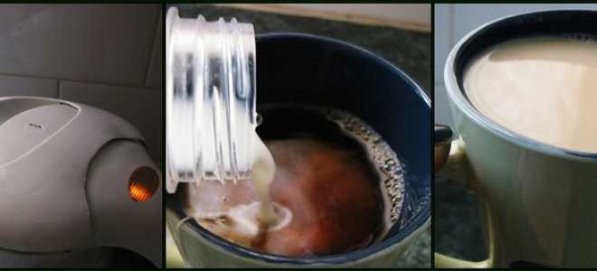 Пингвин хохлатый: король холода с элегантной прической