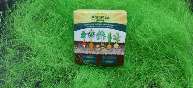 Уникальный мир чирка-свистунка: Очарование Anas querquedula