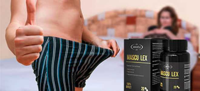 Левантийская гадюка: тайны и великолепие одного из самых опасных пресмыкающихся