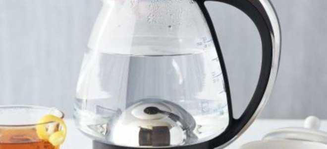 Миссисипский крокодил: хранитель древних вод