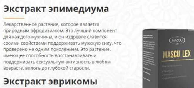 Луток: маленькие пушистые чудеса с уникальными фото!