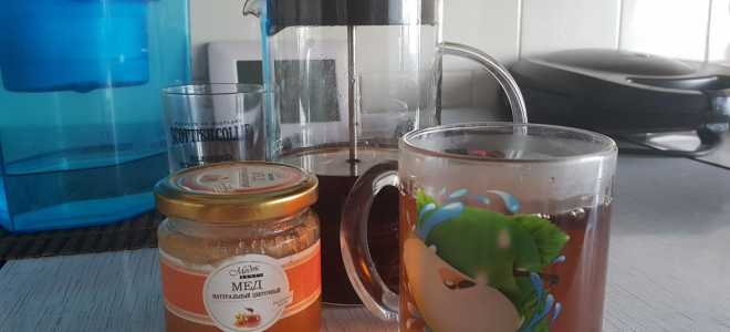 Огненная Саламандра: Путешествие в Мир Царства Огоньков