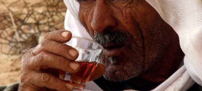 Желтолобый прыгающий попугай: удивительный мир ярких пернатых