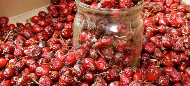 Чирок: Красота водной фауны и его обитание