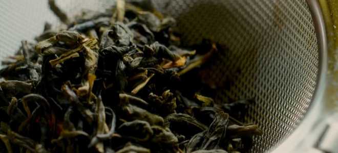 Мир Резус Макак: Умные, Общительные и Таинственные Существа