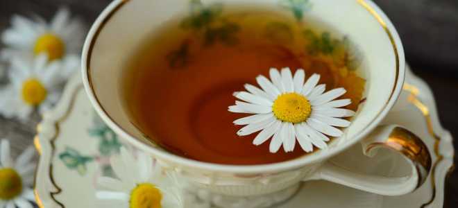 Песчанка-змея: Загадочный мир удивительных гнездов и своевольной жизни