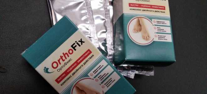 Бешеный апельсин: загадочный мир пауков с экзотическим именем