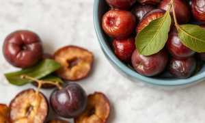 Вяленые сливы: как сделать ароматное лакомство дома и использовать его в кухне