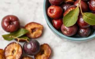 Вяленые сливы: как сделать ароматное лакомство дома и использовать его в кухне