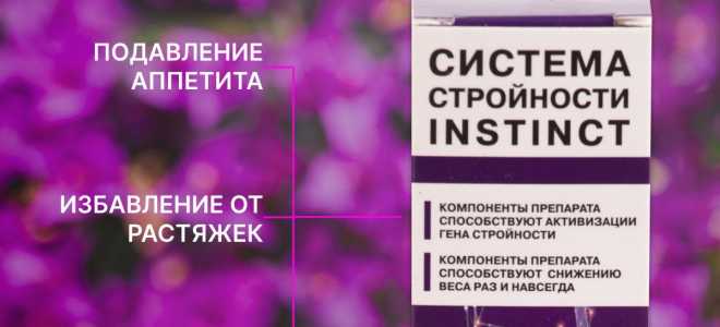 Прыткая ящерица: маленький шустрик с большим характером