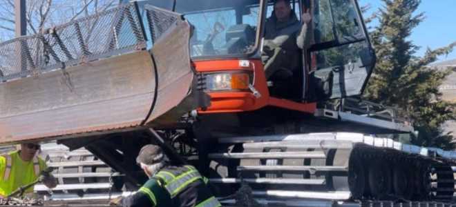 Южный пингвин: очаровательный смельчак из холодных краев