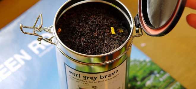 Длиннокрылые попугаи: удивительные пернатые с сказочными историями