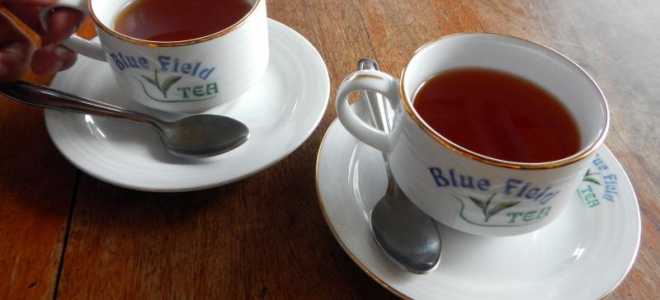 Какова истинная тяжесть макаки? Узнайте, сколько весит ваш любимец в мире обезьян!