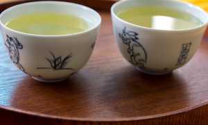 Китайский белый чай – что это такое?