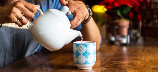 Удивительный мир крабоедов: кто они и чем нас могут удивить?