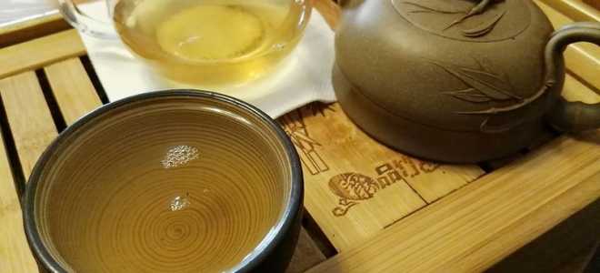 Сом плоскоголовик: мистический монстр пресных вод