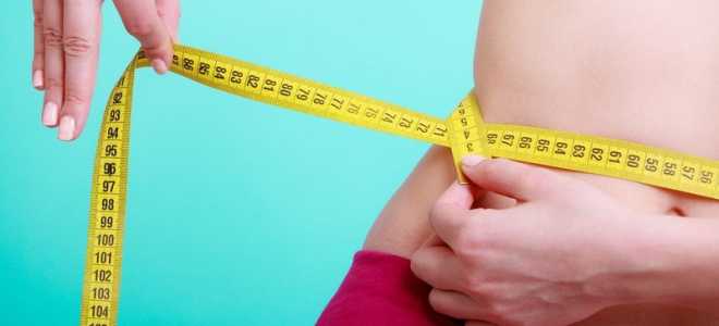 Муравьед в Южной Америке: Удивительный мир редкого создания