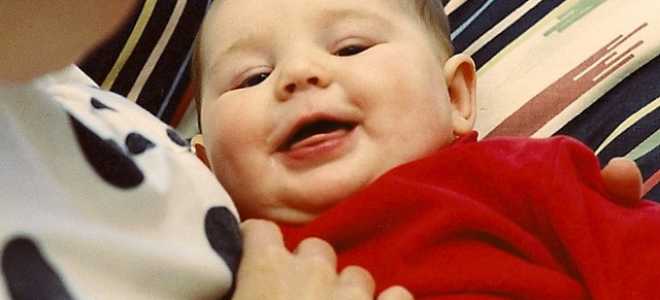 Гривовая черепаха: необычный мир удивительной рептилии