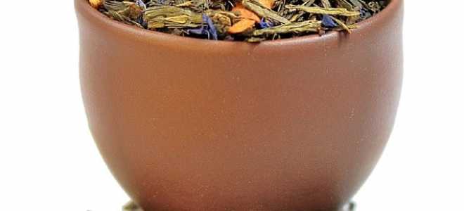 Степная гадюка: таинственный обитатель наших просторов