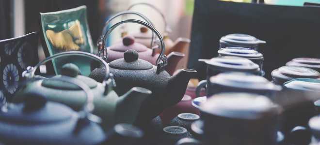 Парусник Паллинур: Красивая бабочка, которая покоряет сердца