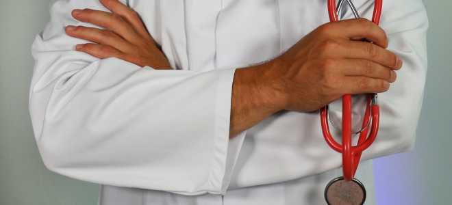 Почему высота бобра важна: удивительные факты об этих замечательных животных