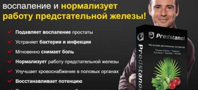 Бразильский белоколенный птицеед: таинственный мир под ногами