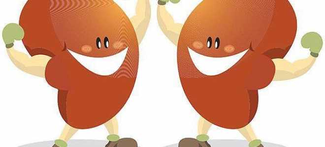 Граммостола: удивительные существа, которые поражают воображение