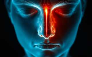 Симптомы перелома носа: как распознать травму и что делать дальше