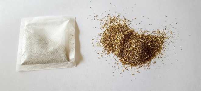 Линзанг: необычный зверь с удивительными привычками