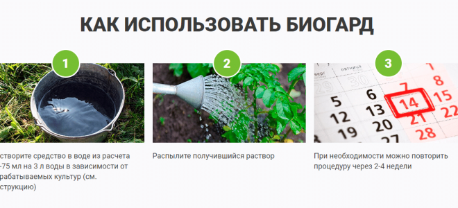 Макаки яванские: Умные игривые соседи джунглей