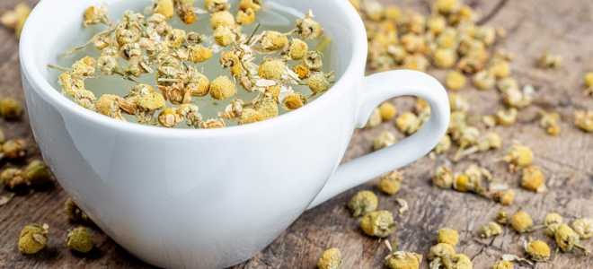 Как правильно кормить банановых сверчков: секреты успешного аквариума