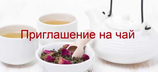 Крабоед обезьяна: Удивительный мир тропического питомца