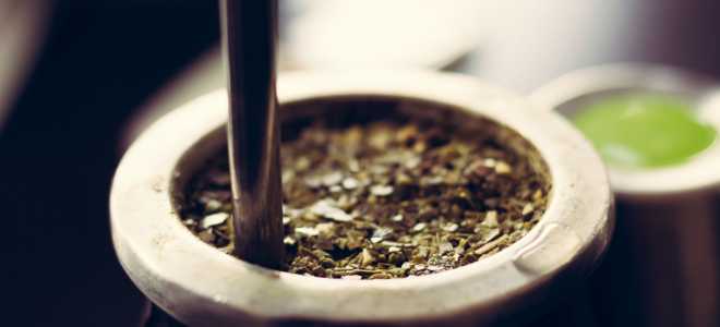 Императорский удав: Насколько долго живут эти удивительные создания?