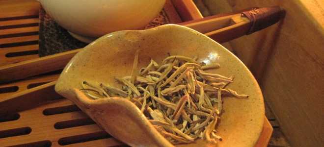 Поиска между красотой и опасностью: Таинственный Poecilotheria metallica