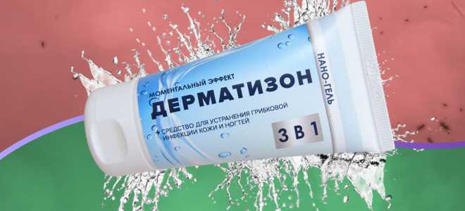 Тараканы: от миниатюрных до гигантских – узнайте о размерах этих удивительных существ!