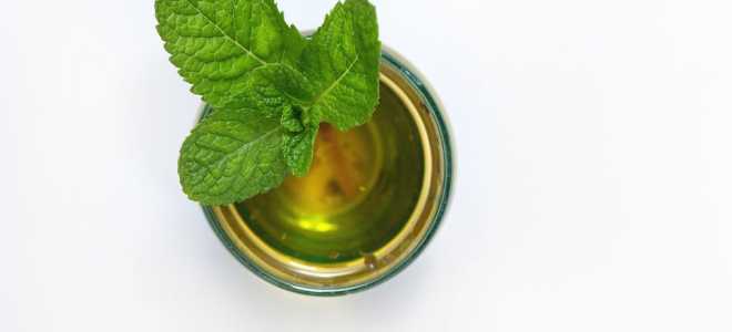 9 самых полезных свойств зеленого чая с мятой