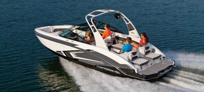 Нильский крокодил: Подводные тайны одного из самых грозных хищников