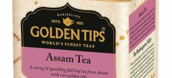 Королевская кобра: Мифы и Факты о Королеве Змей