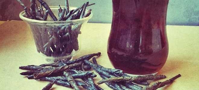 Банкивская джунглевая курица: загадочный предок наших домашних любимцев