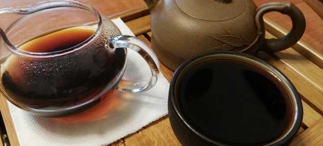 Аргентинский жук: Увлекательные факты о маленьком вредителе