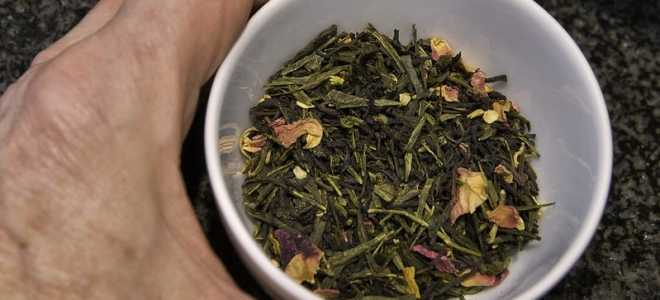 Сколько живет кивсяк: загадочная жизнь маленького многоножки