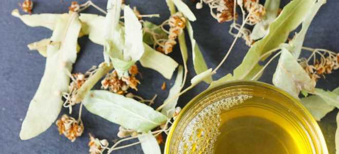 Чем питается жук голиаф: Открываем тайны одного из самых крупных насекомых на планете