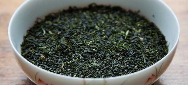 Загадочные игрунки карликовые: миниатюрные чудеса из тропиков