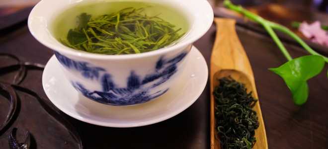 Тараканы: удивительные возможности и необычные факты об этих насекомых