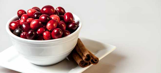 Азиатский скорпион: Удивительные факты о царе ночных пустынь