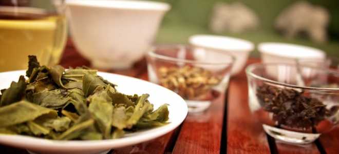 Макак резус: удивительное создание природы