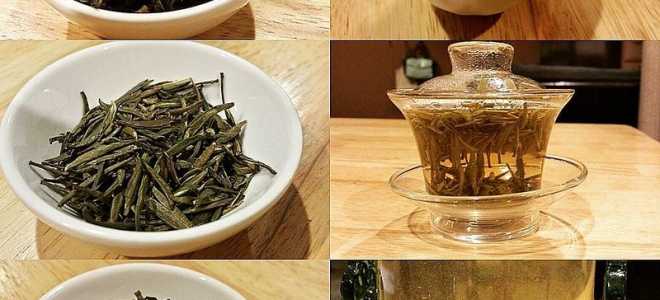 Желтый варан: Достопримечательность из мира рептилий