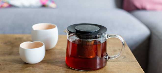 Крокодиловый геккон: Мистика, экзотика и очарование в мире ящериц