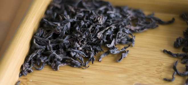 Кудлатые строители: Удивительный мир бобров обыкновенных